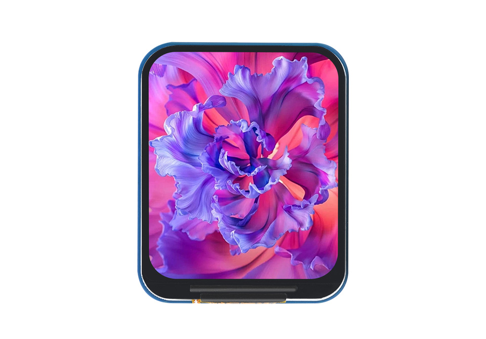 1.69 英寸 LCD 扩展板