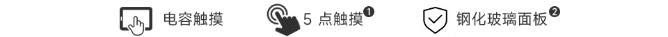 11.9 英寸 DSI 触控屏电容式五点触摸